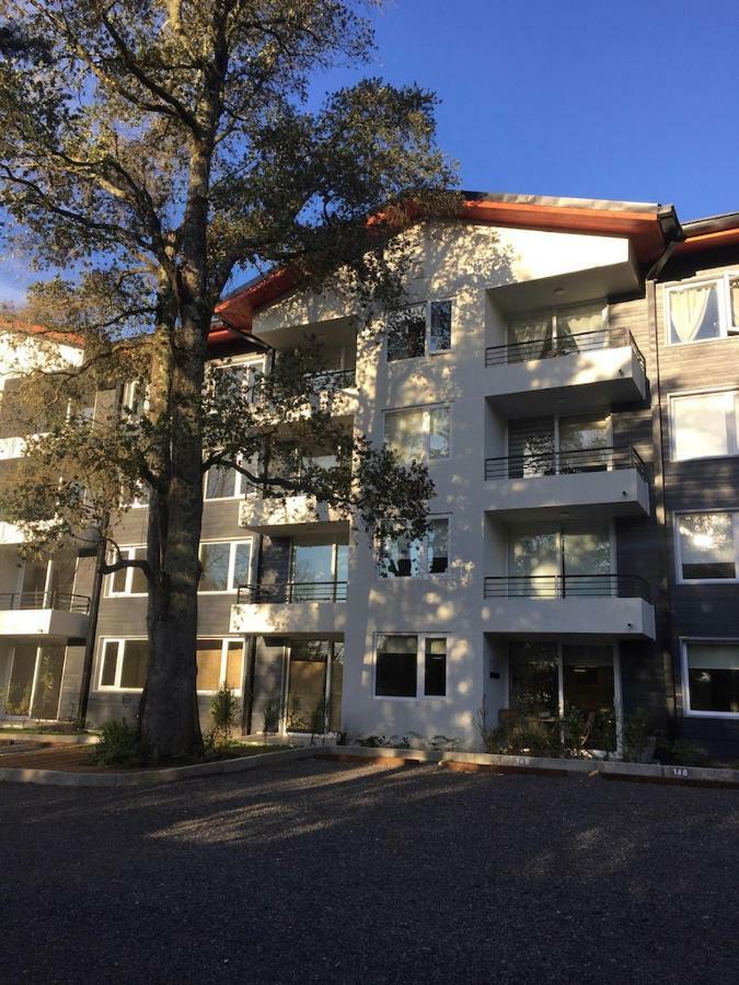 Condominio Robles Camino Al Volcan Пукон Экстерьер фото